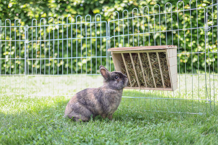 KERBL Heuraufe XL Nature